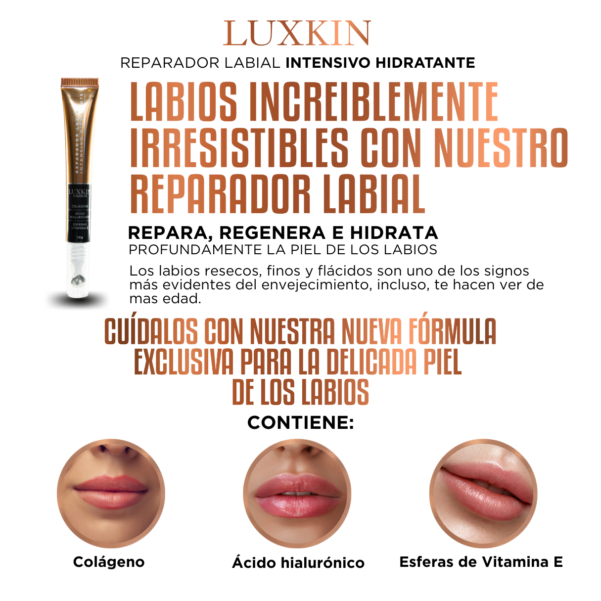 Reparador Labial